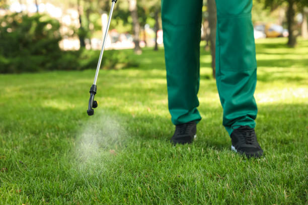 North Wilkesboro, NC Pest Control Company